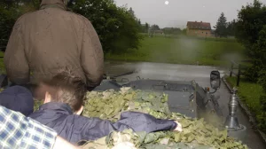 30 jahr feier